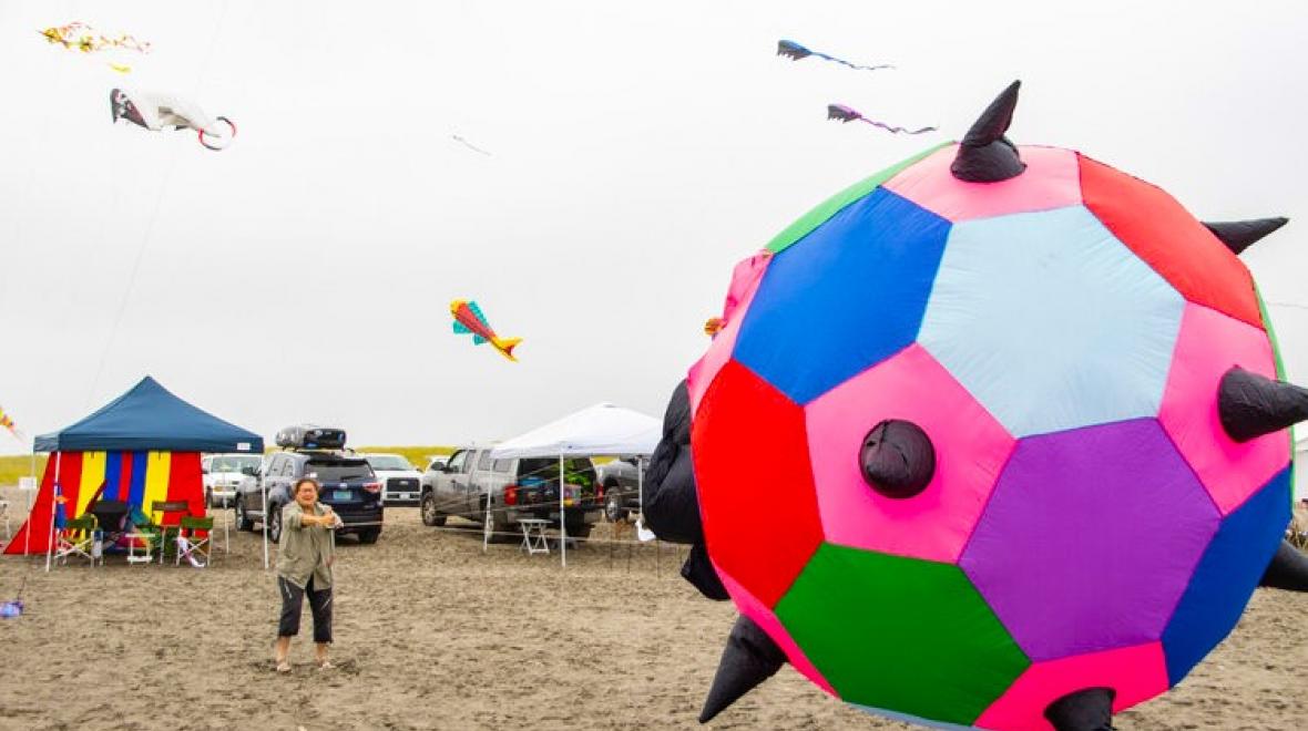Washington State International Kite Festival Family Fun in Long Beach